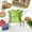 Green, variant on Girls T Shirts Size 3-4Y Solid with Mushroom Embroidery Sleeveless Round Neck Dual Side Drawstring Waist Top Girls Tops