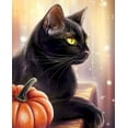 thumbnail image 1 of Black Cat Paint by Numbers, 1 of 7