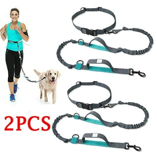 Hands free dog leash cheap walmart