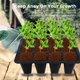 thumbnail image 2 of 5 Unids 12 Células Bandejas De Inicio De Plántulas Con Tapa Transparente Bandeja De Plántulas Reutilizable Kit De Inicio De Plantas Propagador De Semillas De Plástico Y Juego De Germinación De Plantas Muyoka Hogar, 2 of 7