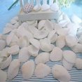 thumbnail image 5 of 25pcs Natural Scallop Shell, Special For Handmade Diy Creative Production Handmade Diy Creative Col, 5 of 5
