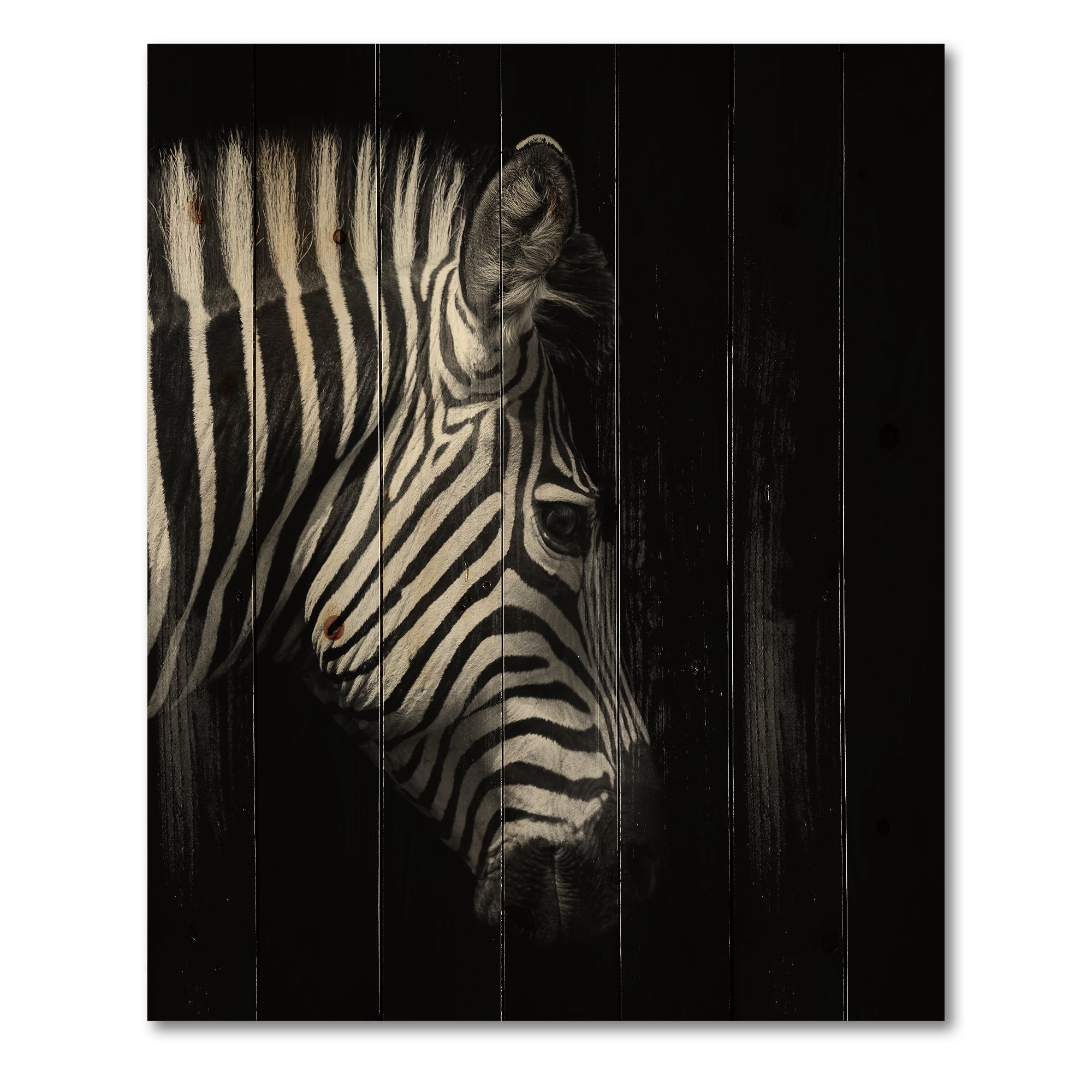 Designart 'Black and White Portrait of Zebra Head' Farmhouse Print on Natural Pine Wood