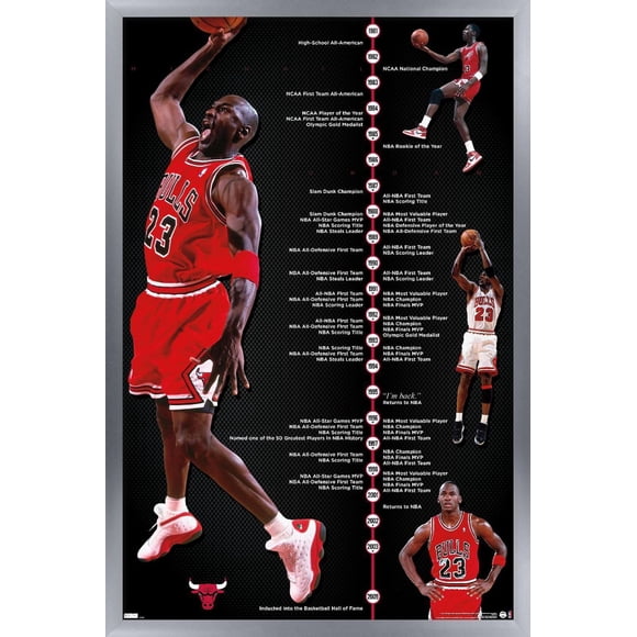 Michael Jordan - Timeline Wall Poster, 22.375" x 34" Framed