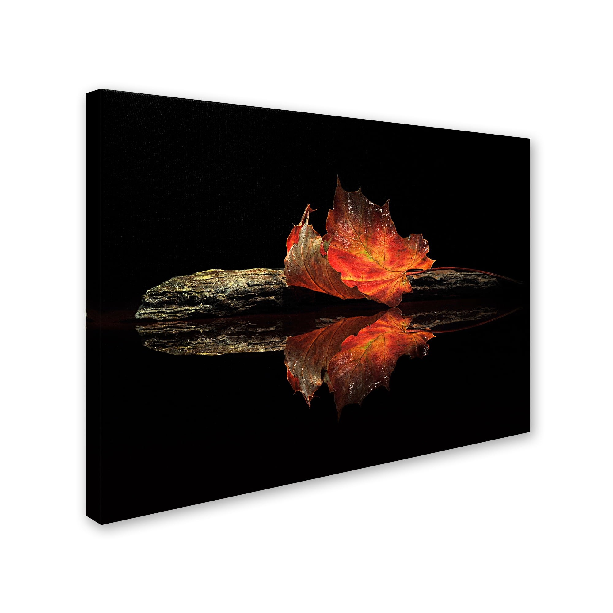 Trademark Fine Art 'Autumn Colors' Canvas Art by Aida Ianeva
