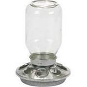 MILLER MANUFACTURING COMPANY Miller Mfg Co Inc P-Mason Jar Baby Chick Feeder- Clear 1 Quart MJ9810