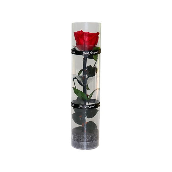 A real preserved rose, everlasting rose, durable rose, eternal flowering rose