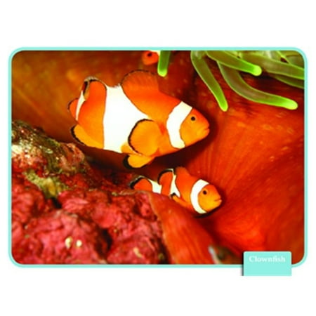 Edupress EP-3446 Science Reading Comp Cards Ocean Life