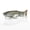 Hitch, variant on Savage Gear Scandal Resident, Rainbow Trout, 10 in (1-Count)
