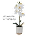 thumbnail image 4 of Home Accents 16-inch Artificial Real Touch Phalaenopsis Orchid in Cream Glaze Ceramic Pot, Yellow, 4 of 7