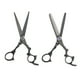 thumbnail image 2 of 2 uds negro profesion salón peluquero corte regular texturizante adelgazamiento tijeras tijeras peluquería de herramientas de peluquería 6,5 ', 2 of 9