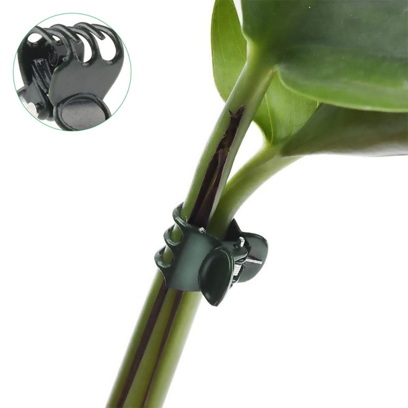 50PCS Plant Fixing Clips Garden Flowers Tied Bundle Branch Clip Clamping Tools