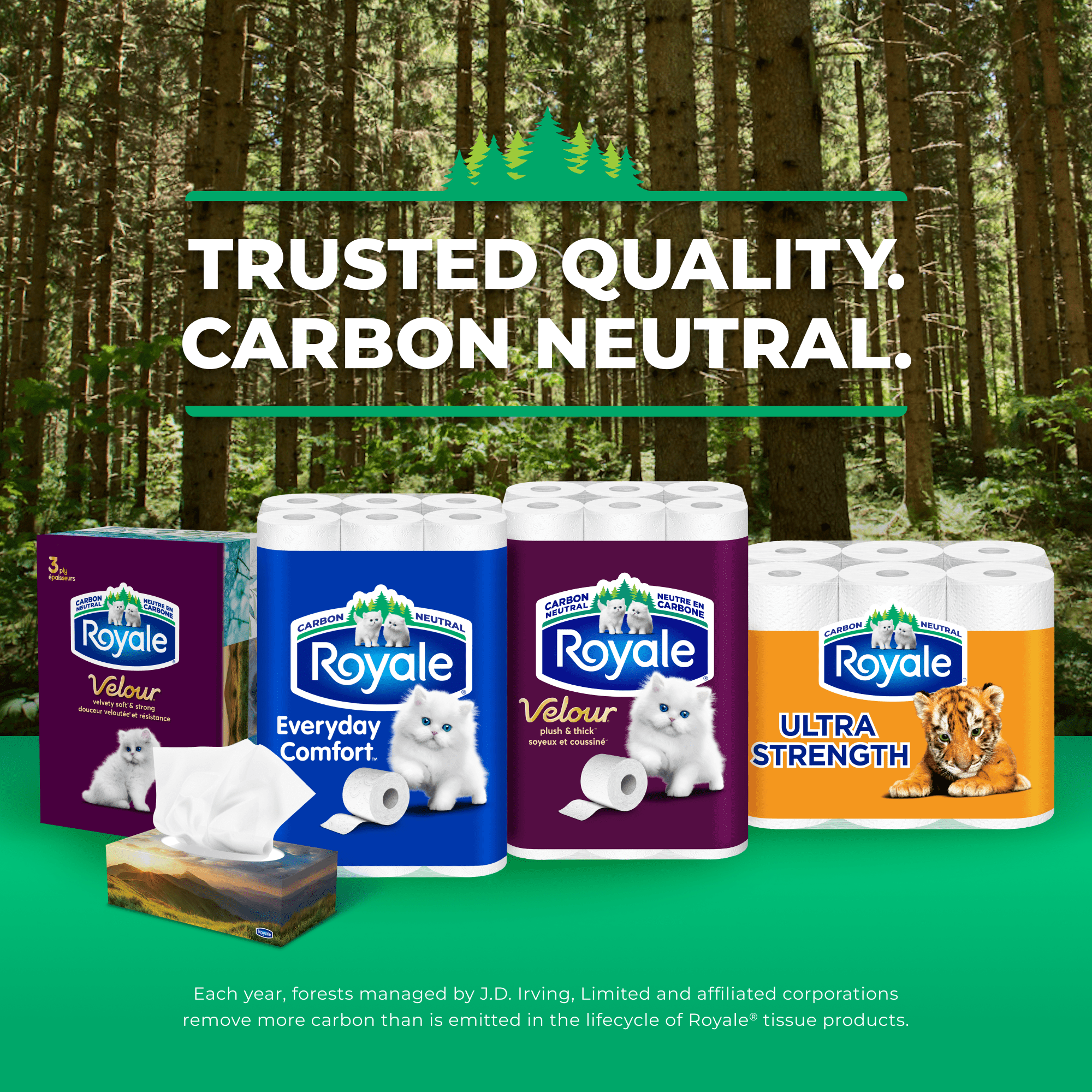 Royale Velour, 3 Ply Facial Tissue, 12 Flat Boxes, 82 Tissues per Box