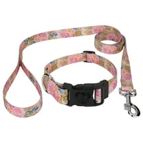 Country Brook Petz® Deluxe Watercolor Peonies Dog Collar and Leash, Large