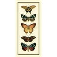 thumbnail image 3 of Zarris, Chariklia 9x14 Black Modern Framed Museum Art Print Titled - Butterfly Collector V, 3 of 5