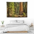 thumbnail image 3 of ONETECH  Autumn Tree California Tapestry, Redwood Trees Sequoia National Park Large Wall Hanging Tablecloths Psychedelic Tapestry Bedroom Living Room Dorm(Redwood Green Wood), 3 of 7