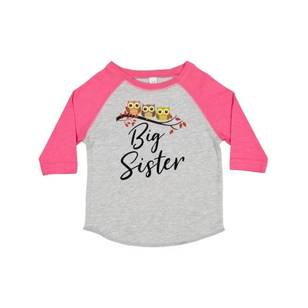 

Inktastic Owl Big Sister Gift Toddler Toddler Girl T-Shirt