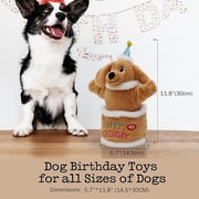 Fuzzwoof Birthday Cake Dog Toy, Dancing with Echo Function Feature, Singing Birthday Songs, Interactive Dog Toys, Plush Stuffed Puppy Toy, Birthday Gift for Dogs