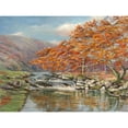 thumbnail image 3 of Cerana, Francesco 14x12 Black Modern Framed Museum Art Print Titled - Ruscello silvestre, 3 of 5
