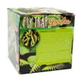 thumbnail image 4 of Unique Gardener Glass Terrarium - Fly Trap Garden, 4 of 5