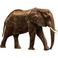 thumbnail image 2 of VWAQ African Elephant Wall Sticker Decal Safari Elephant Wall Cling Decor - PAS13 (24"H X 38"W), 2 of 2