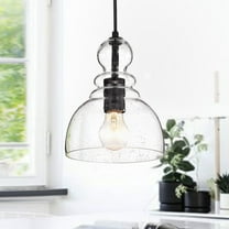 Nefelt Matte Black 1-Light Decanter Seeded Glass Pendant