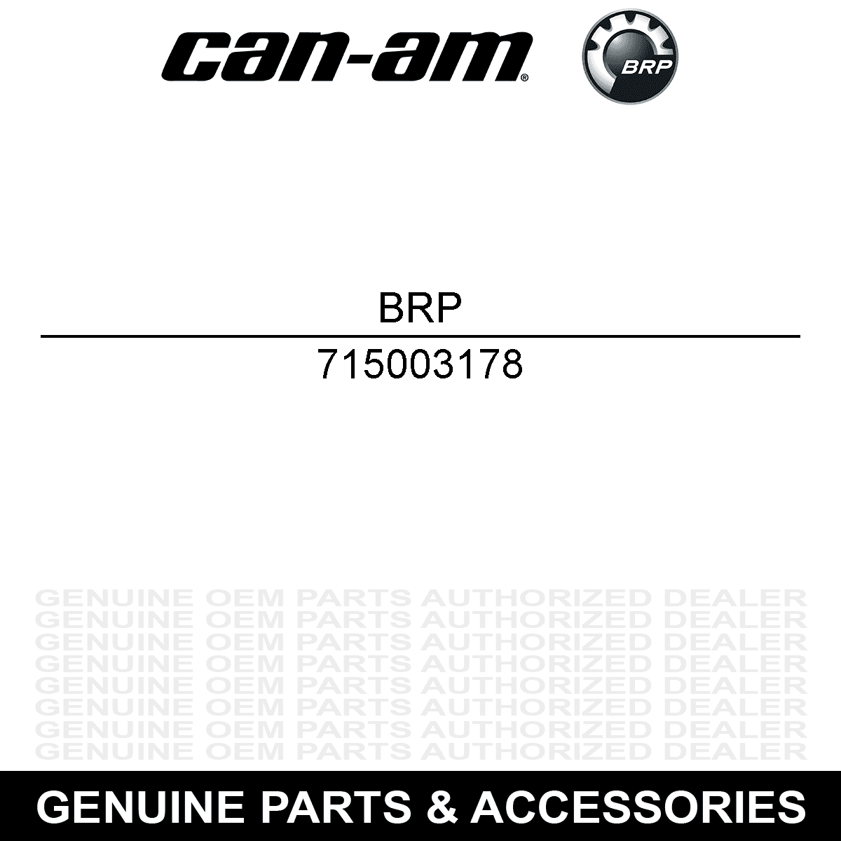 BRP 715003178 2016 - 2017 Can-Am Renegade White Central