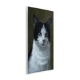 thumbnail image 4 of Stupell Industries Black & White Cat Angst Animals Painting Unframed Art Print Wall Art, 10 x 15, 4 of 8