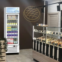 Zzistar Commercial Display Refrigerator, 11.3 Cu.Ft. Merchandiser Beverage Refrigerator with Dual-Layer Glass Door, LED Light, 4 Adjustable Shelves