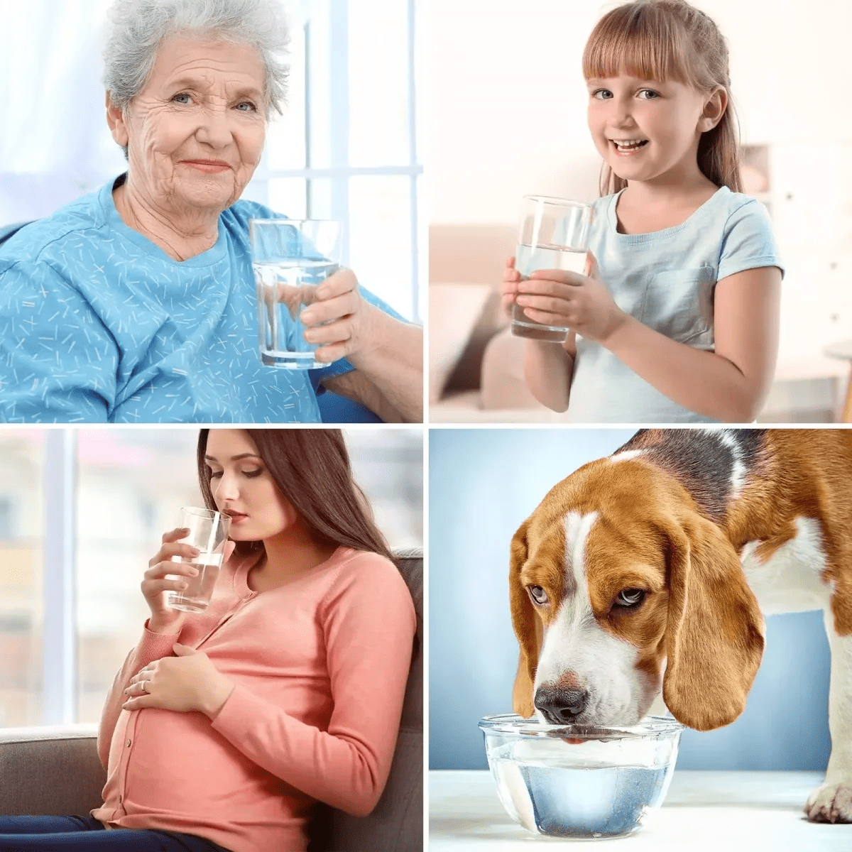 ALK Water Filter Replacement Cartridge for SimPure WP2 Ro System