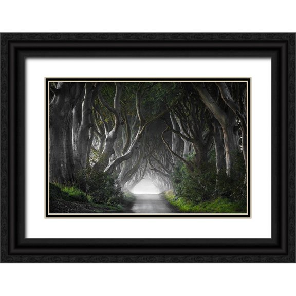Molteni, Nicola 32x23 Black Ornate Wood Framed with Double Matting Museum Art Print Titled - DARK HEDGES