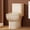 Khaki, variant on Sunrinx One-Piece Toilet, Tornado Dual Flush 1.1/1.6 GPF, ADA 17" Seat, Gloss White