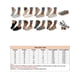 thumbnail image 5 of Ferndule Mocasines para mujer Zapatos planos con estampado de leopardo Slip on Loafer Canvas Trainers Sneaker, 5 of 8