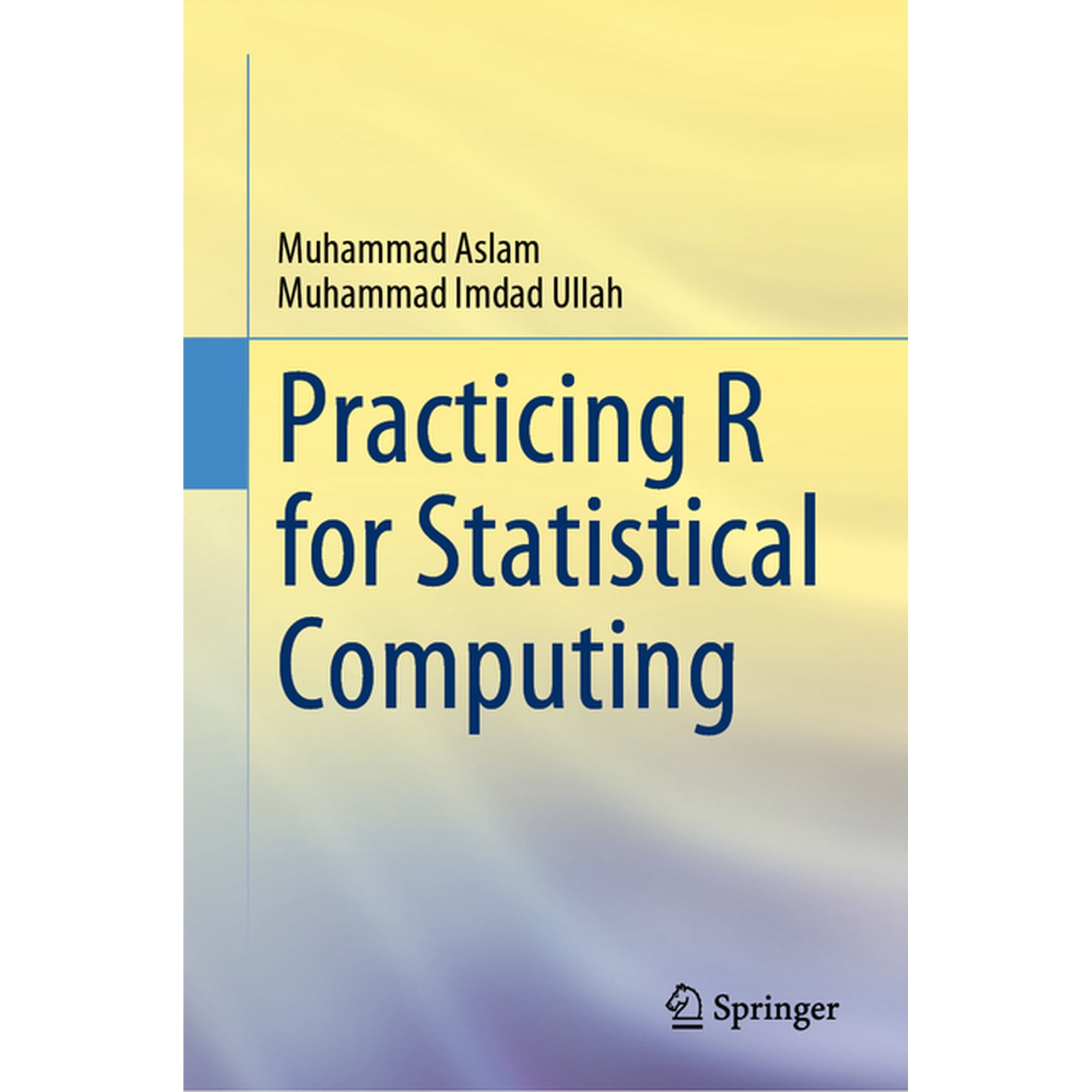 Practicing R for Statistical Computing (Hardcover)