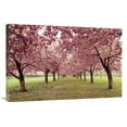 thumbnail image 1 of Global Gallery's 'Hall of Cherries' By Katherine Gendreau Stretched Canvas Wall Art, 1 of 4