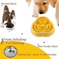 thumbnail image 4 of Pet Feeding Bowl, Slow Healthy Feeder, Prevent Gulping, Choking, 4 of 5
