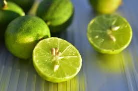 FirstChoiceCandy  Key Lime Starlight Mint Hard Candy Disc (Key Lime QC- 5 Pound)