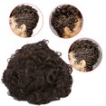thumbnail image 1 of Pelucas cortas y rizadas, pelucas cortas y rizadas onduladas, pelucas onduladas, pelucas elegantes y estéticas, 1 of 13