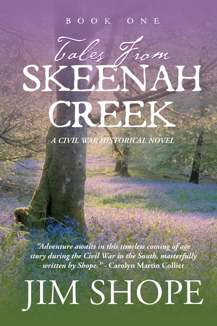 Tales From Skeenah Creek A Civil War Historical Fiction Novel
