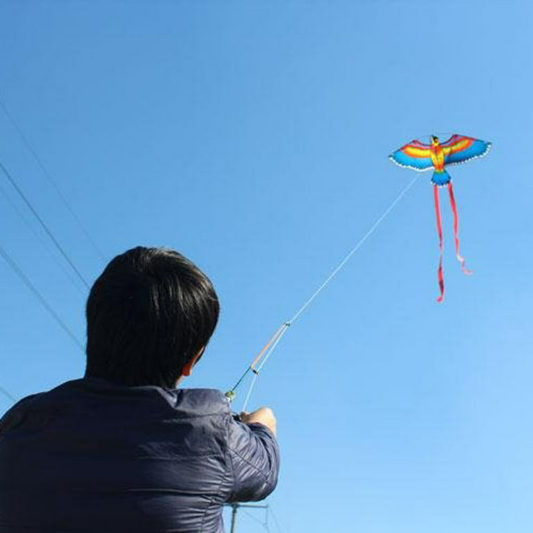 Hapeisy 3D Parrots Design Outdoor Toys Flying Kite Kid Adults Children Kite Flying Toys, Size: 110, Blue