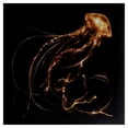 thumbnail image 1 of BACK TO THE WATER BELOW (INDIE EXCLUSIVE VINYL), 1 of 1