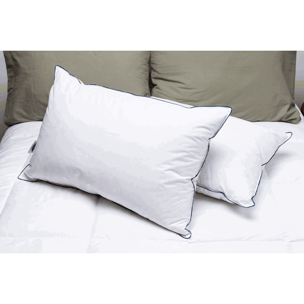 Pacific Coast Double Down Around Pillow with Pillowtex Pillow Protector Standard Walmart