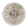 thumbnail image 2 of Ceybo Flush Mount Ceiling Light with White Rattan Shade – Boho Round Indoor Light Fixture, Silver Steel Frame, Dimmable, E26 Base – Modern Coastal Bohemian Home Décor, 2 of 4