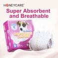 thumbnail image 2 of Pañales desechables para perras hembras HONEY CARE All-Absorb Small, 2 of 5