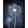 thumbnail image 2 of Robinson, Tamara 12x14 Gold Ornate Wood Framed with Double Matting Museum Art Print Titled - Dandelion on Blue II, 2 of 4