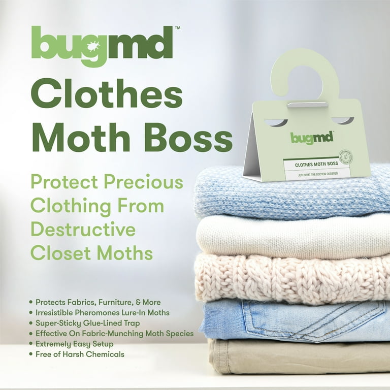 Clothes & Closet Moth Glue Board Traps 6 Count