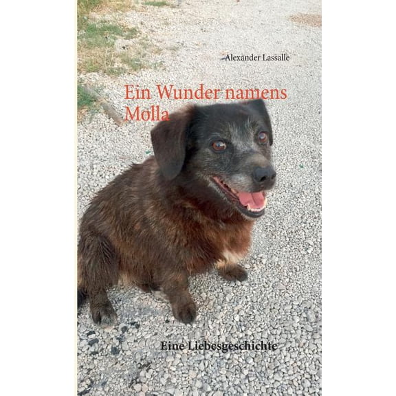 Ein Wunder namens Molla: Eine Liebesgeschichte, (Paperback)