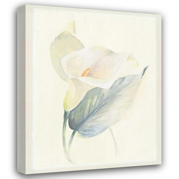 Paul Hargittai 36x44 Gallery Wrapped Canvas Wall Art Titled - Calla Lily III