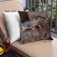 thumbnail image 1 of Ahgly Company Animals Squirrel Coussin Extérieur, 18 Pouces par 18 Pouces, 1 of 6