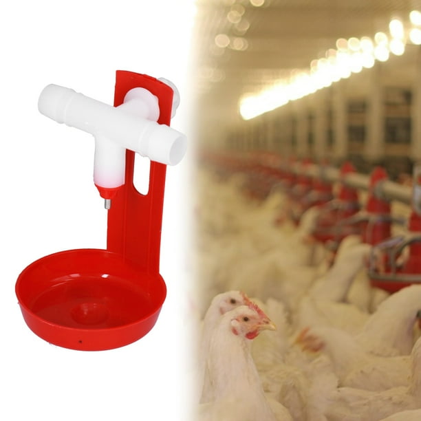 Bebedero Automático Para Aves De Corral, Bebedero Para Aves De Corral De Plástico De Tamaño Pequeño Para Pollo Para Codornices Para Granja Para Pájaros