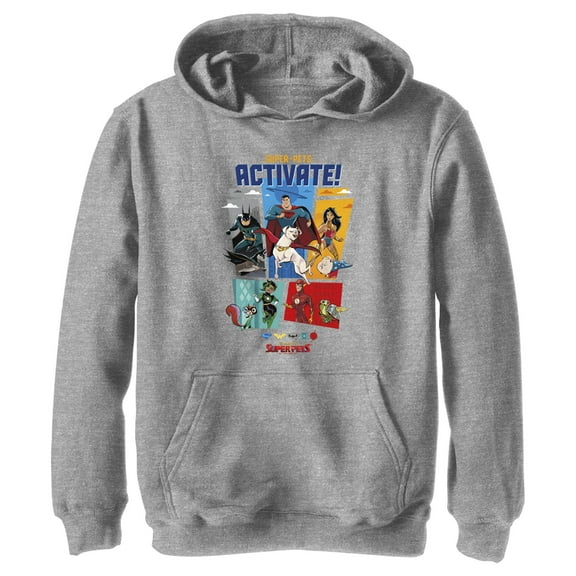 Boy's DC League of Super-Pets Activate Group Panels  Pull Over Hoodie Athletic Heather Medium